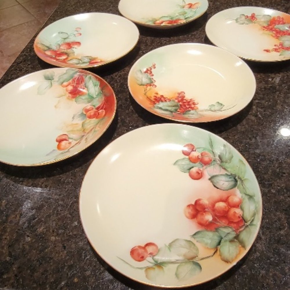R & C Bavaria Porcelain Painted Cherry Plates 6 pcs.